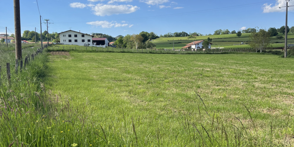 fond de commerce à IHOLDY (64640)